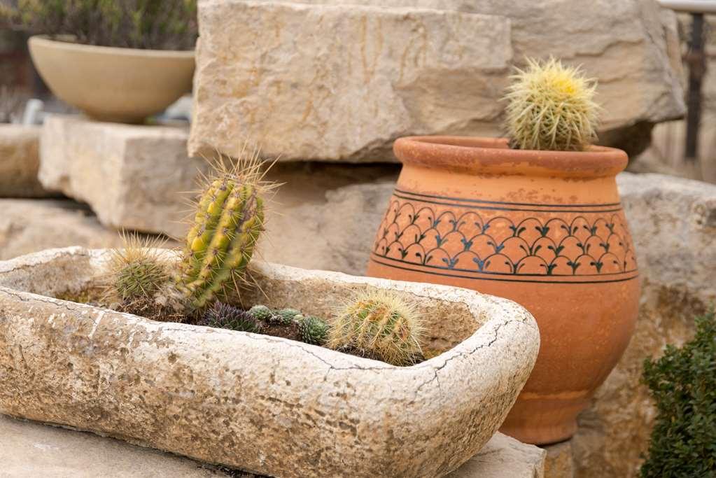 The Originals City, Hotel Le Village Provencal, Aix-En-Provence Nord Pertuis Amenities photo
